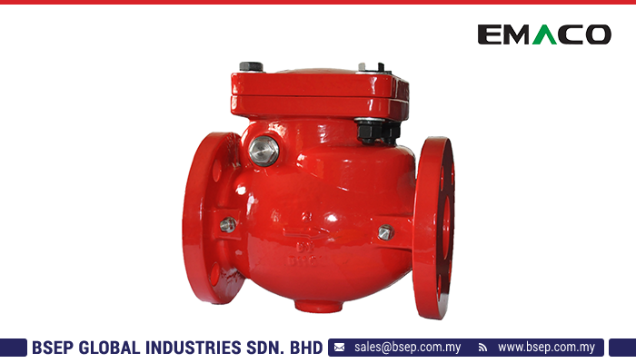 12. BSEP_Description_Image_SWING CHECK or NON-RETURN VALVE- UL